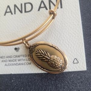Alex and Ani Gold Pineapple Oval Charm Bracelet #All